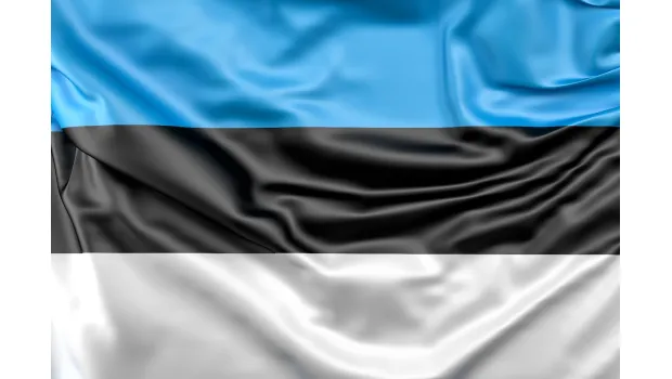 ManageD Consultancy OÜ — Your EU Career, Visa & Project Partner - Estonia